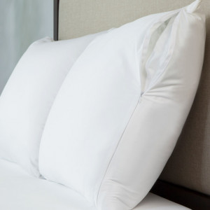 Allerzip, Pillow Protector, Standard x 1 11023