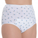 La Floral, Absorbent, Waterproof, Floral, High Waisted Brief - 2XL